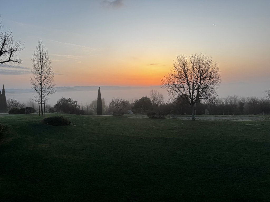 Adler Thermae-With the&nbsp;Boy